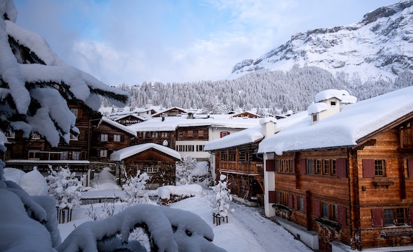 Snowy chalet surrounded by pine trees
